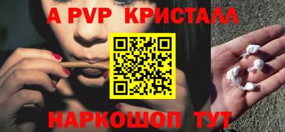 гидра Ставрополь