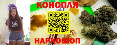 гидра Ставрополь
