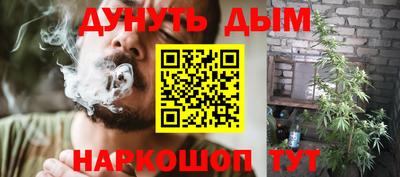 гидра Ставрополь