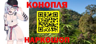 гидра Ставрополь