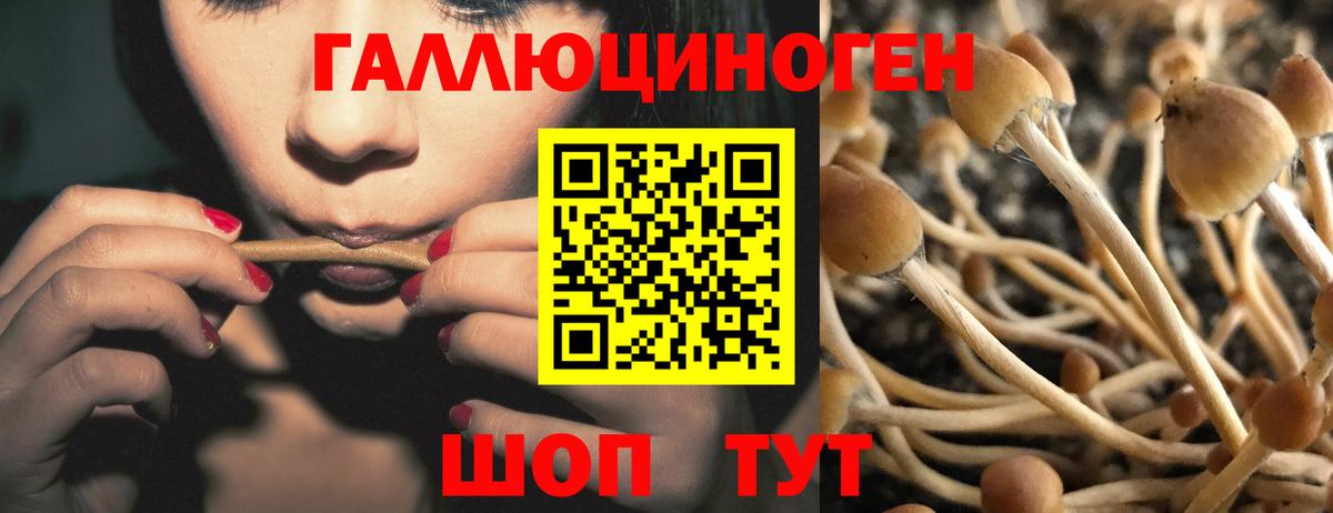 Новоуральск  Псилоцибиновые грибы прущие грибы  Вход с VPN 