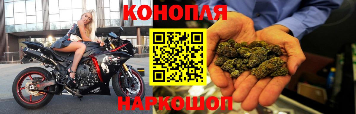 Шишки марихуана планчик  МАРИХУАНА сатива  Канабис VHQ  Новоуральск  Вход с VPN 